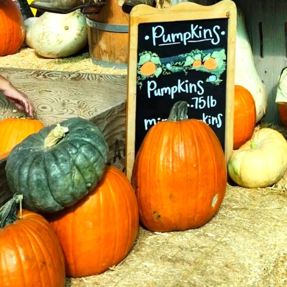 🧡11/8 Let's CLEAR THE RACK! Women's Mix Pieces + Sizes - Picture 2 of 2